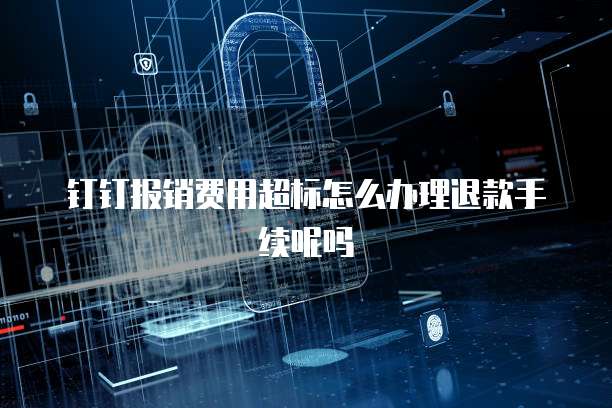 钉钉报销费用超标怎么办理退款手续呢吗
