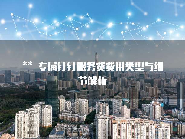 ** 专属钉钉服务费费用类型与细节解析