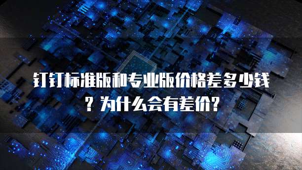 钉钉标准版和专业版价格差多少钱?为什么会有差价?