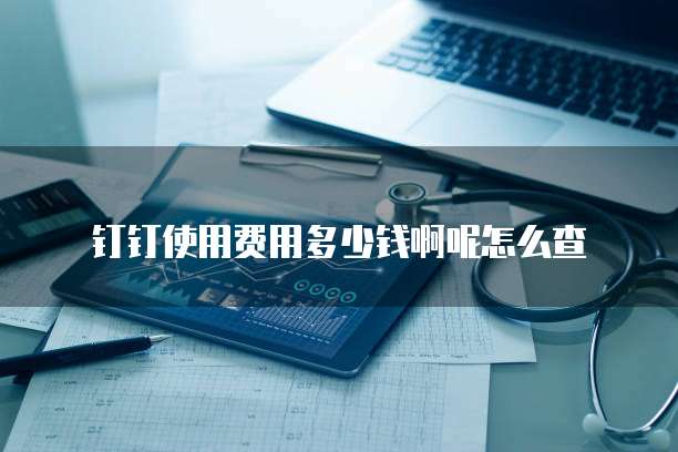 钉钉使用费用多少钱啊呢怎么查