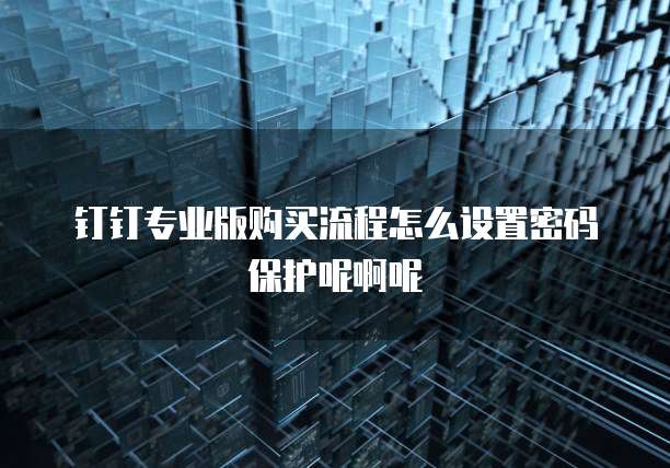 钉钉专业版购买流程怎么设置密码保护呢啊呢