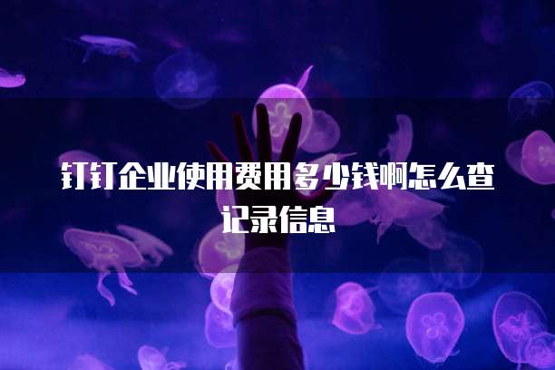 钉钉企业使用费用多少钱啊怎么查记录信息