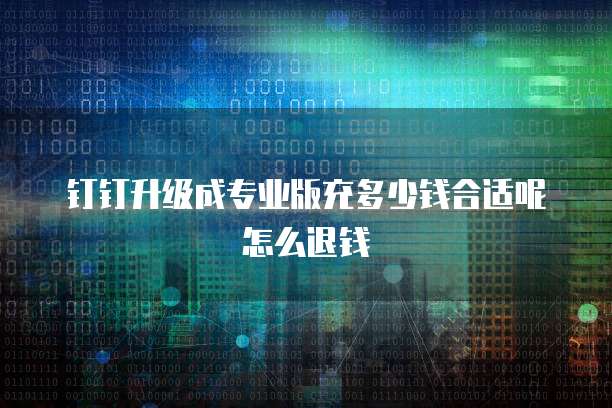 钉钉升级成专业版充多少钱合适呢怎么退钱