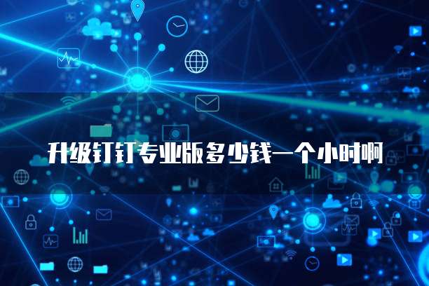 升级钉钉专业版多少钱一个小时啊