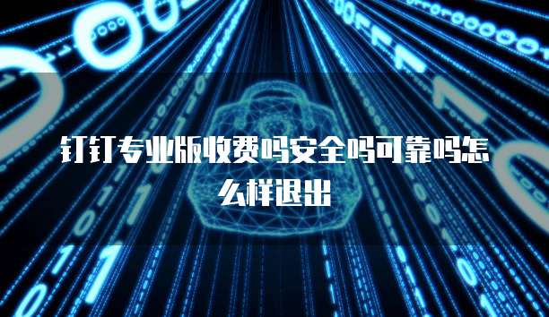 钉钉专业版收费吗安全吗可靠吗怎么样退出