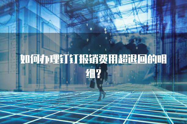 如何办理钉钉报销费用超退回的明细？