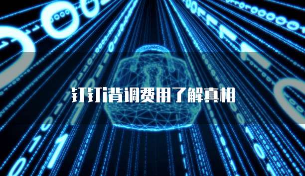 钉钉i背调费用了解真相