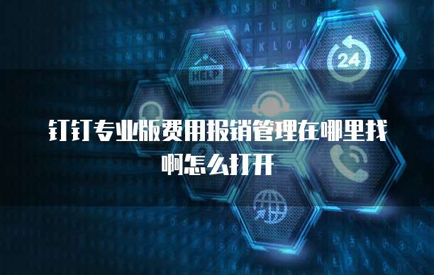 钉钉专业版费用报销管理在哪里找啊怎么打开