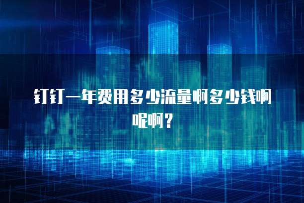 钉钉一年费用多少流量啊多少钱啊呢啊？