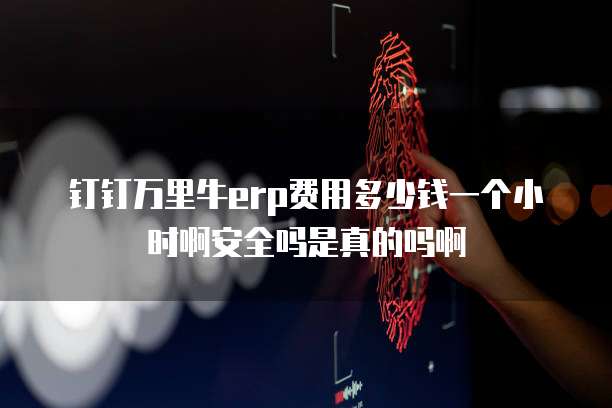 钉钉万里牛erp费用多少钱一个小时啊安全吗是真的吗啊
