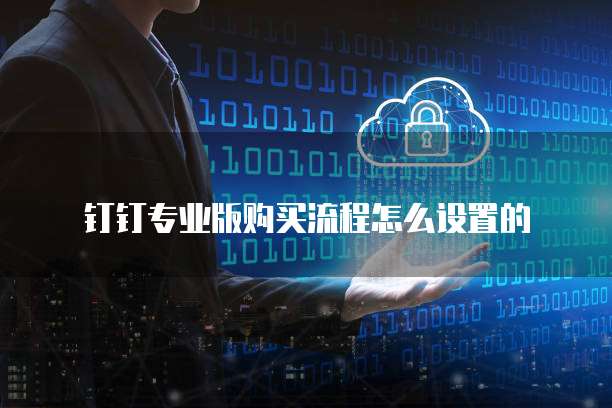 钉钉专业版购买流程怎么设置的