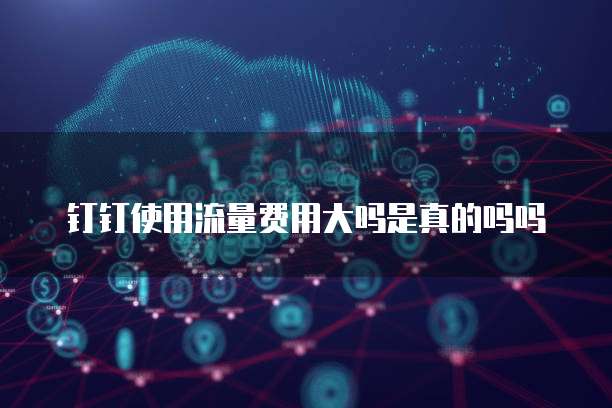 钉钉使用流量费用大吗是真的吗吗