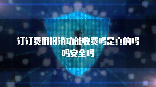 钉钉费用报销功能收费吗是真的吗吗安全吗