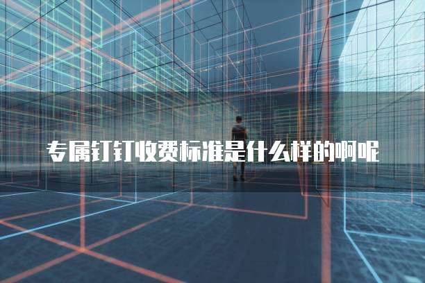 专属钉钉收费标准是什么样的啊呢