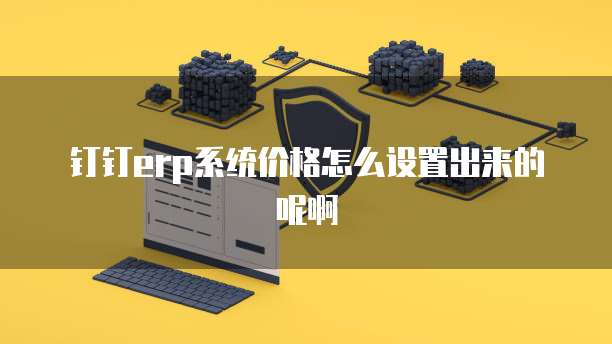 钉钉erp系统价格怎么设置出来的呢啊