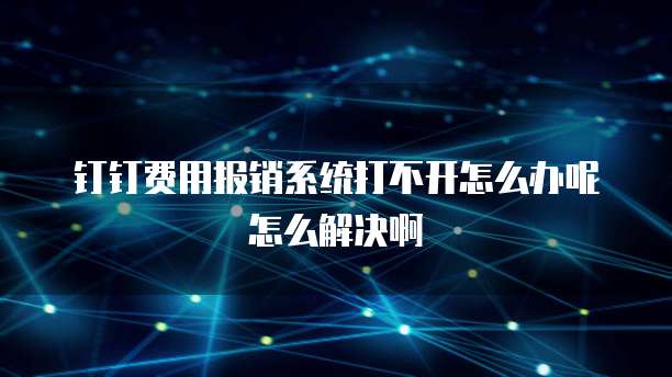 钉钉费用报销系统打不开怎么办呢怎么解决啊