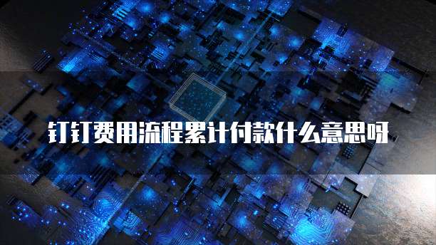 钉钉费用流程累计付款什么意思呀