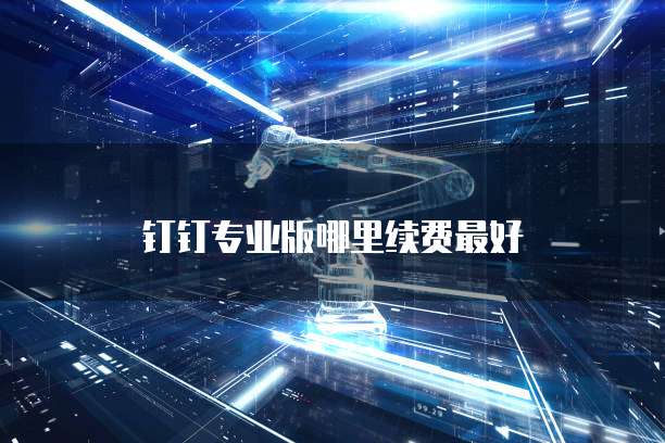钉钉专业版哪里续费最好