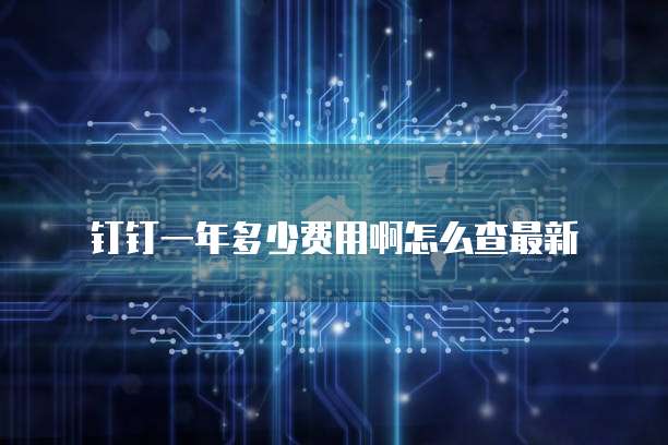 钉钉一年多少费用啊怎么查最新