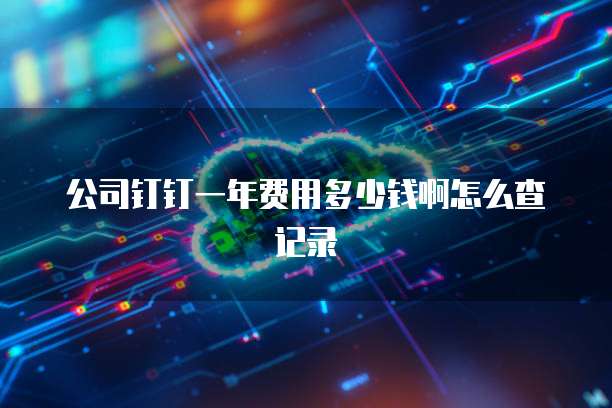 公司钉钉一年费用多少钱啊怎么查记录