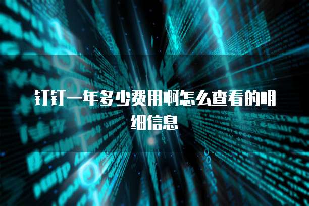 钉钉一年多少费用啊怎么查看的明细信息