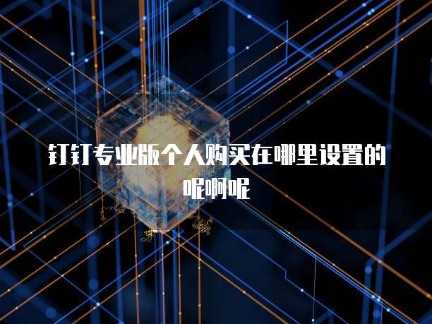 钉钉专业版个人购买在哪里设置的呢啊呢