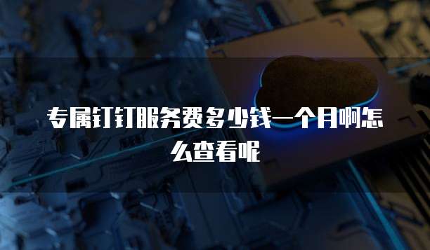 专属钉钉服务费多少钱一个月啊怎么查看呢