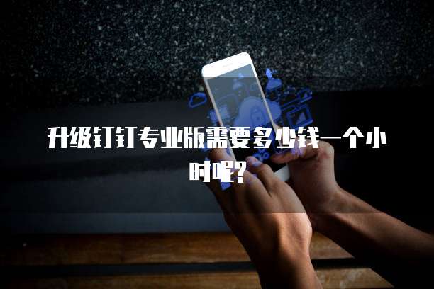 升级钉钉专业版需要多少钱一个小时呢?