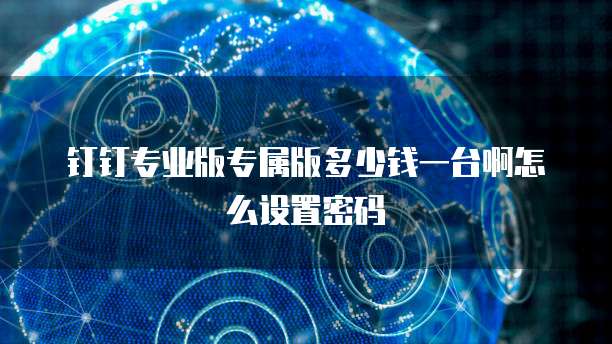 钉钉专业版专属版多少钱一台啊怎么设置密码
