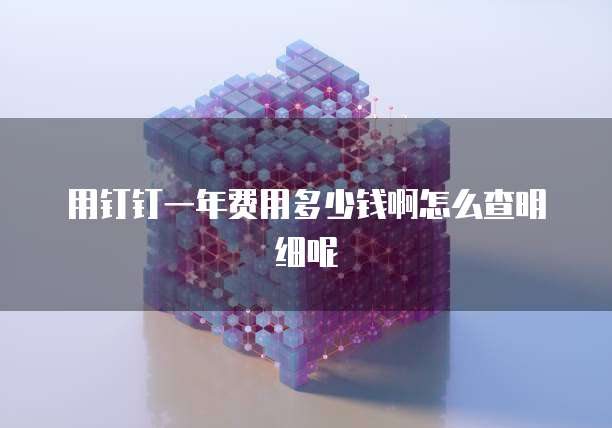 用钉钉一年费用多少钱啊怎么查明细呢