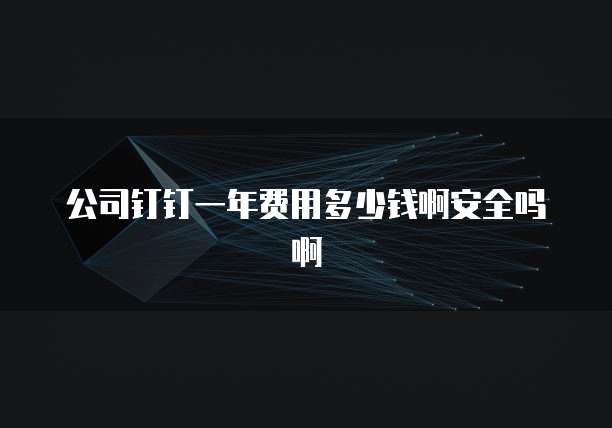 公司钉钉一年费用多少钱啊安全吗啊