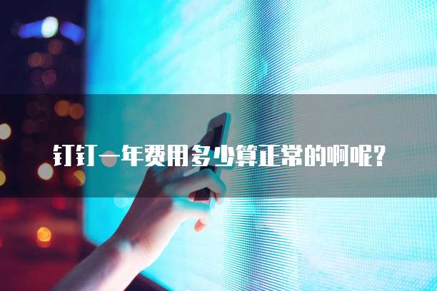 钉钉一年费用多少算正常的啊呢?