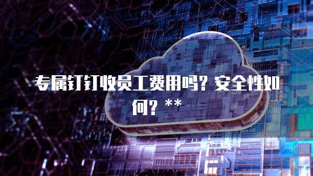 专属钉钉收员工费用吗?安全性如何?**