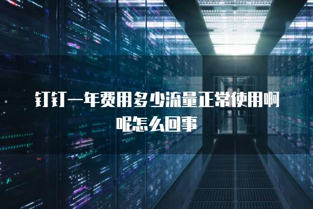钉钉一年费用多少流量正常使用啊呢怎么回事