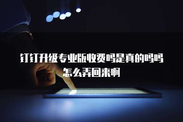 钉钉升级专业版收费吗是真的吗吗怎么弄回来啊