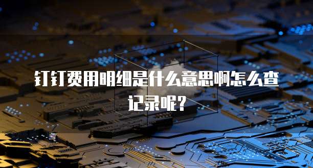 钉钉费用明细是什么意思啊怎么查记录呢?