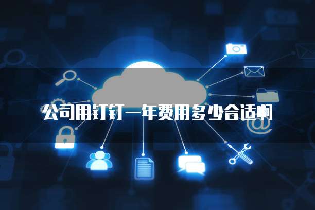 公司用钉钉一年费用多少合适啊