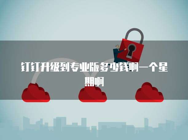钉钉升级到专业版多少钱啊一个星期啊