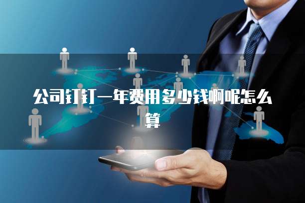 公司钉钉一年费用多少钱啊呢怎么算