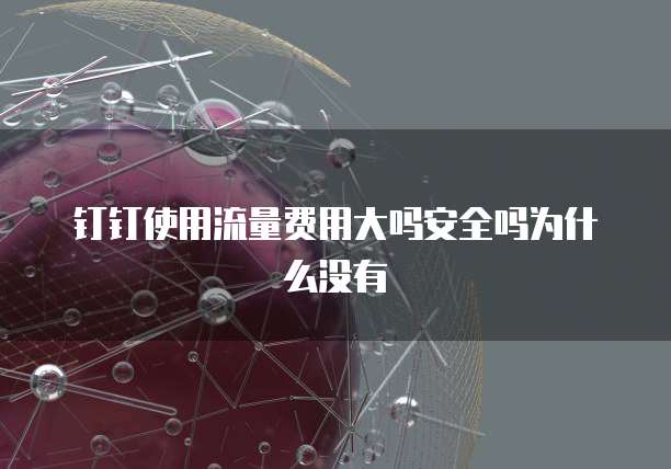 钉钉使用流量费用大吗安全吗为什么没有