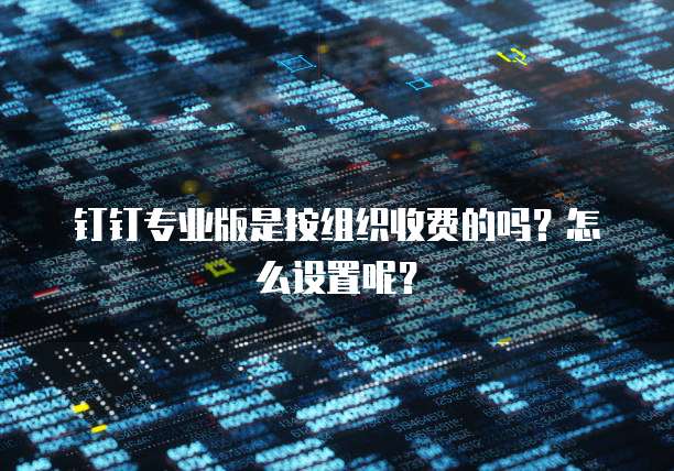 钉钉专业版是按组织收费的吗？怎么设置呢？