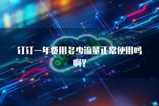 钉钉一年费用多少流量正常使用吗啊?