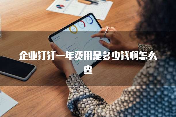 企业钉钉一年费用是多少钱啊怎么查