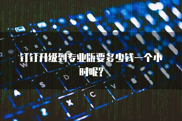 钉钉升级到专业版要多少钱一个小时呢?