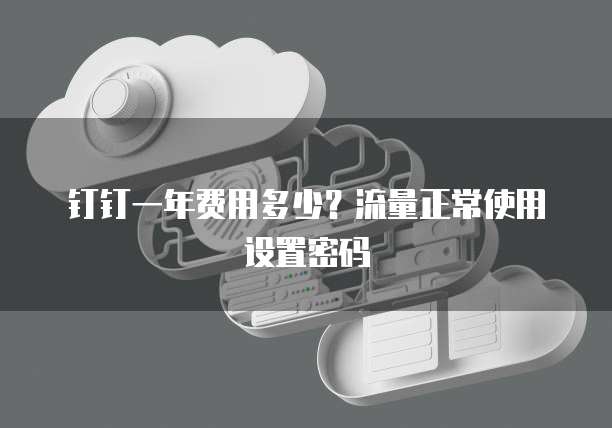 钉钉一年费用多少?流量正常使用设置密码