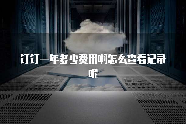 钉钉一年多少费用啊怎么查看记录呢