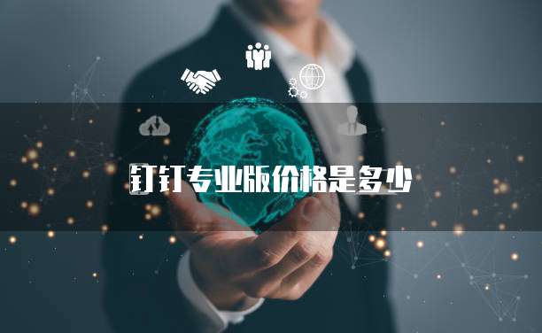 钉钉专业版价格是多少