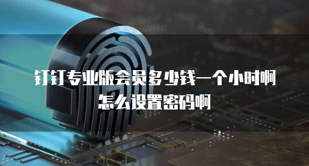 钉钉专业版会员多少钱一个小时啊怎么设置密码啊