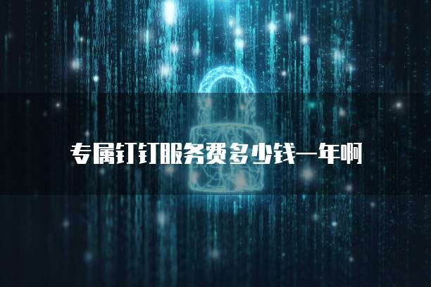 专属钉钉服务费多少钱一年啊