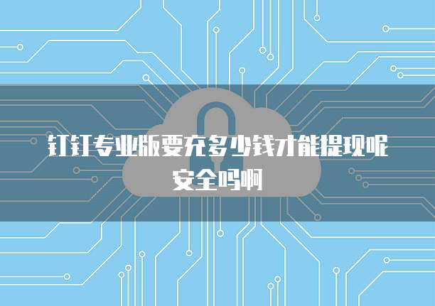 钉钉专业版要充多少钱才能提现呢安全吗啊